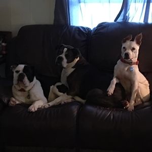 Meet your Posher, Janel